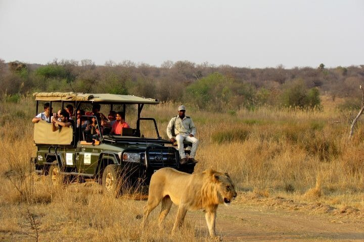 Dinokeng Open Vehicle Game Safaris Trip from Johannesburg - Photo 1 of 7